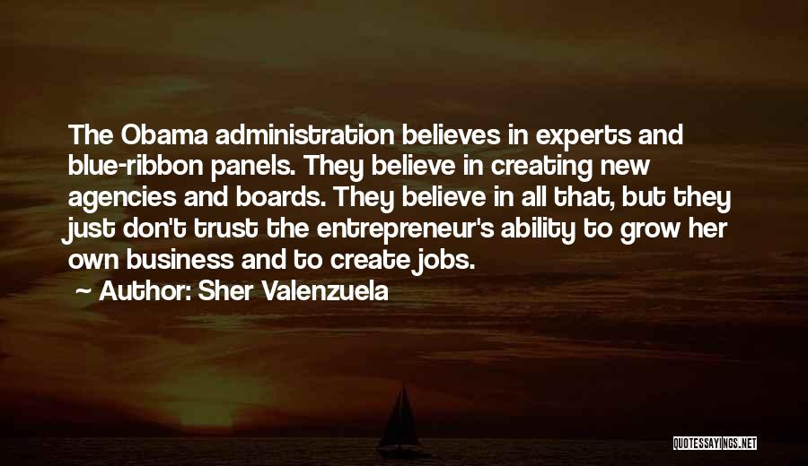 Sher Valenzuela Quotes: The Obama Administration Believes In Experts And Blue-ribbon Panels. They Believe In Creating New Agencies And Boards. They Believe In