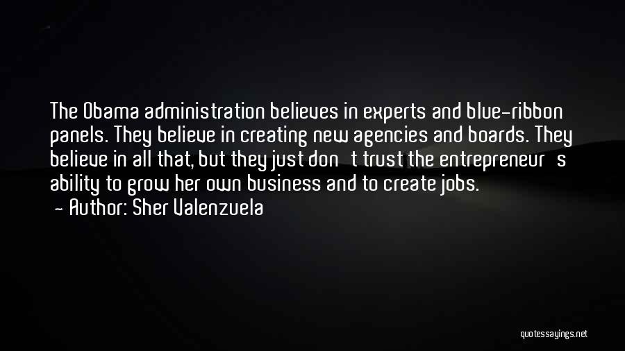 Sher Valenzuela Quotes: The Obama Administration Believes In Experts And Blue-ribbon Panels. They Believe In Creating New Agencies And Boards. They Believe In