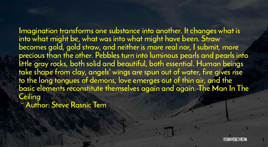 Steve Rasnic Tem Quotes: Imagination Transforms One Substance Into Another. It Changes What Is Into What Might Be, What Was Into What Might Have