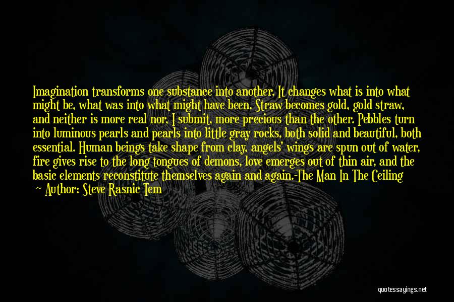 Steve Rasnic Tem Quotes: Imagination Transforms One Substance Into Another. It Changes What Is Into What Might Be, What Was Into What Might Have