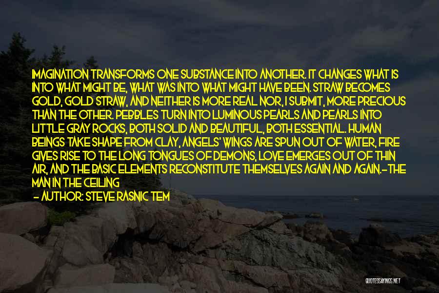 Steve Rasnic Tem Quotes: Imagination Transforms One Substance Into Another. It Changes What Is Into What Might Be, What Was Into What Might Have