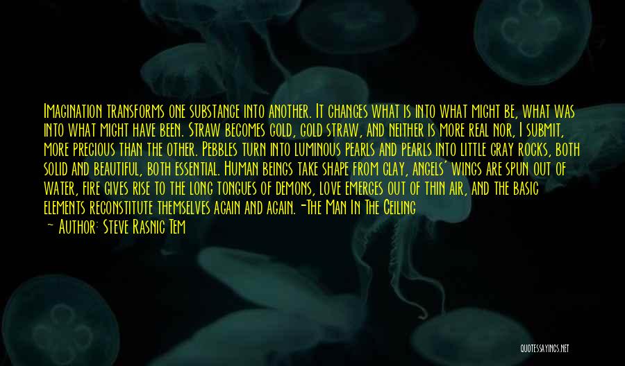 Steve Rasnic Tem Quotes: Imagination Transforms One Substance Into Another. It Changes What Is Into What Might Be, What Was Into What Might Have