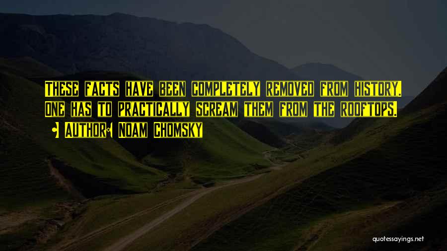 Noam Chomsky Quotes: These Facts Have Been Completely Removed From History. One Has To Practically Scream Them From The Rooftops.