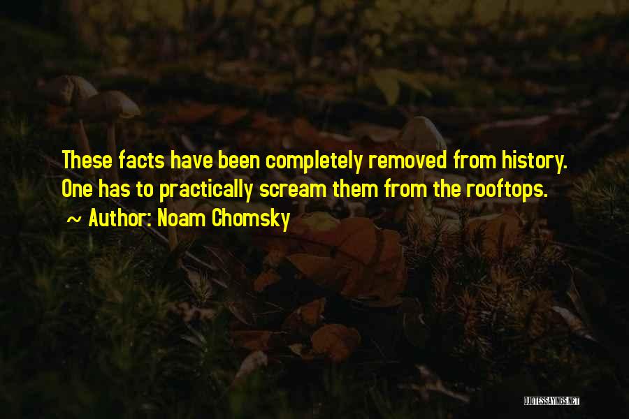 Noam Chomsky Quotes: These Facts Have Been Completely Removed From History. One Has To Practically Scream Them From The Rooftops.