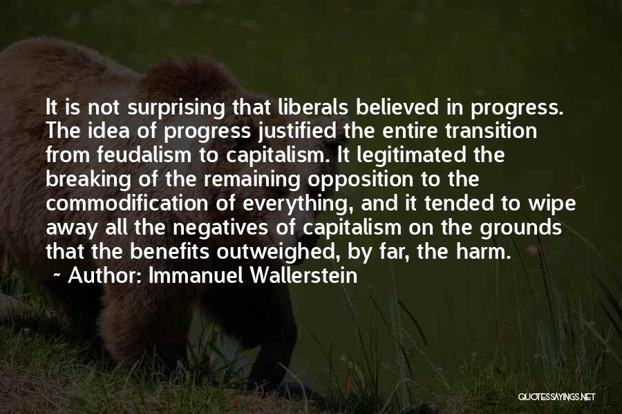 Immanuel Wallerstein Quotes: It Is Not Surprising That Liberals Believed In Progress. The Idea Of Progress Justified The Entire Transition From Feudalism To