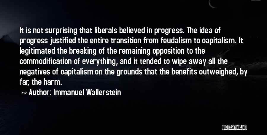 Immanuel Wallerstein Quotes: It Is Not Surprising That Liberals Believed In Progress. The Idea Of Progress Justified The Entire Transition From Feudalism To