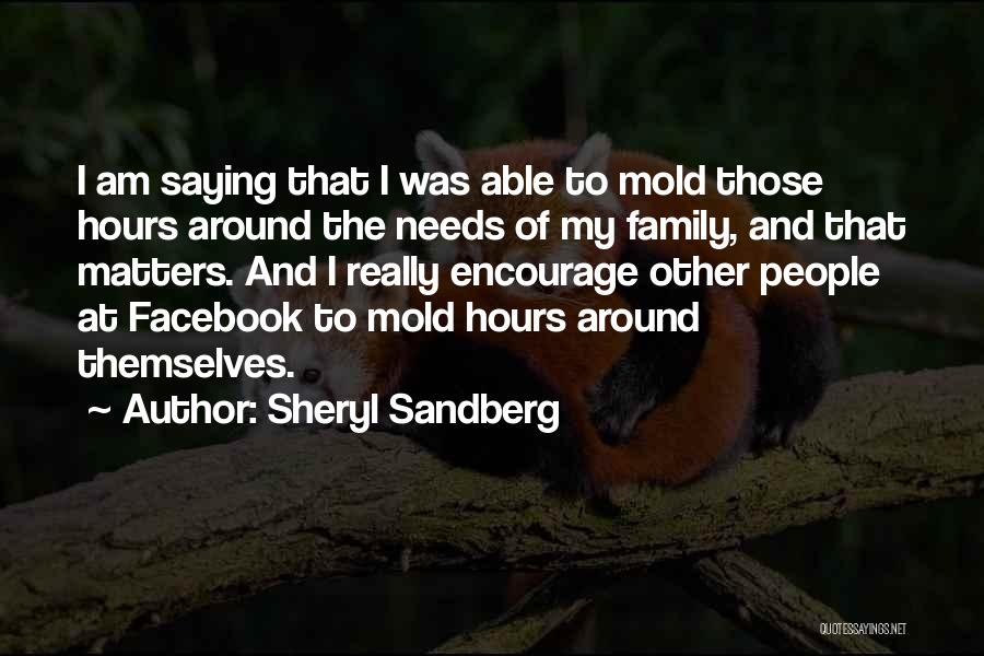 Sheryl Sandberg Quotes: I Am Saying That I Was Able To Mold Those Hours Around The Needs Of My Family, And That Matters.