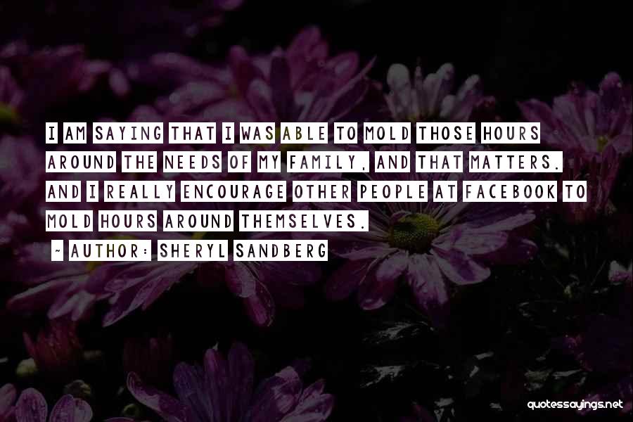 Sheryl Sandberg Quotes: I Am Saying That I Was Able To Mold Those Hours Around The Needs Of My Family, And That Matters.