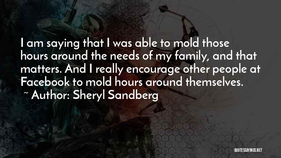 Sheryl Sandberg Quotes: I Am Saying That I Was Able To Mold Those Hours Around The Needs Of My Family, And That Matters.