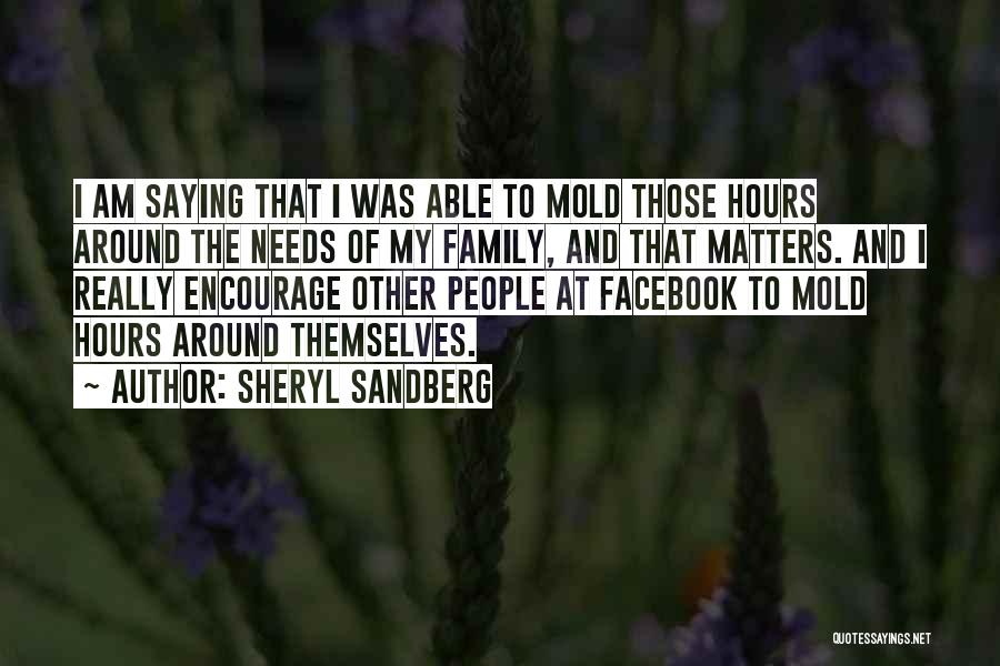 Sheryl Sandberg Quotes: I Am Saying That I Was Able To Mold Those Hours Around The Needs Of My Family, And That Matters.