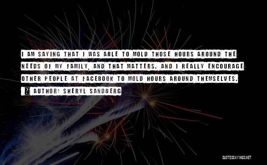 Sheryl Sandberg Quotes: I Am Saying That I Was Able To Mold Those Hours Around The Needs Of My Family, And That Matters.