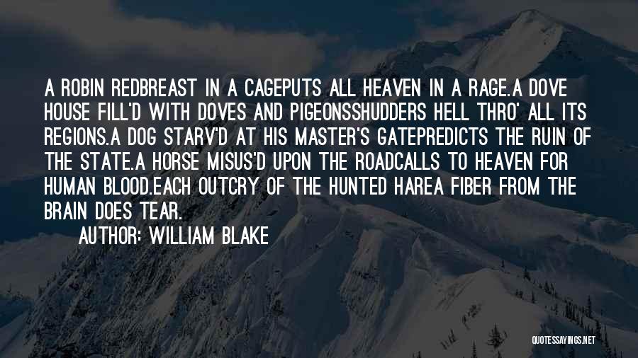 William Blake Quotes: A Robin Redbreast In A Cageputs All Heaven In A Rage.a Dove House Fill'd With Doves And Pigeonsshudders Hell Thro'