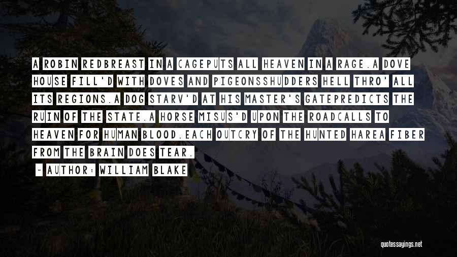 William Blake Quotes: A Robin Redbreast In A Cageputs All Heaven In A Rage.a Dove House Fill'd With Doves And Pigeonsshudders Hell Thro'