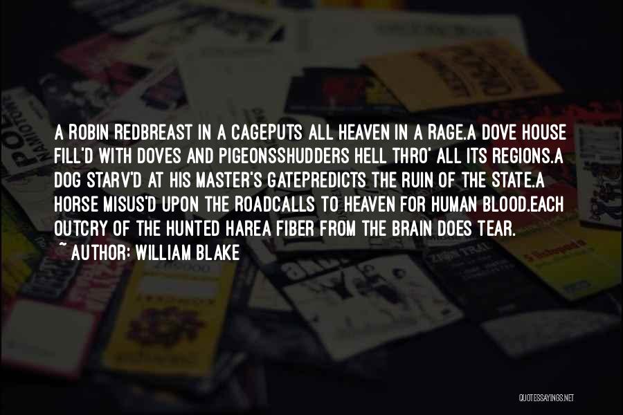 William Blake Quotes: A Robin Redbreast In A Cageputs All Heaven In A Rage.a Dove House Fill'd With Doves And Pigeonsshudders Hell Thro'