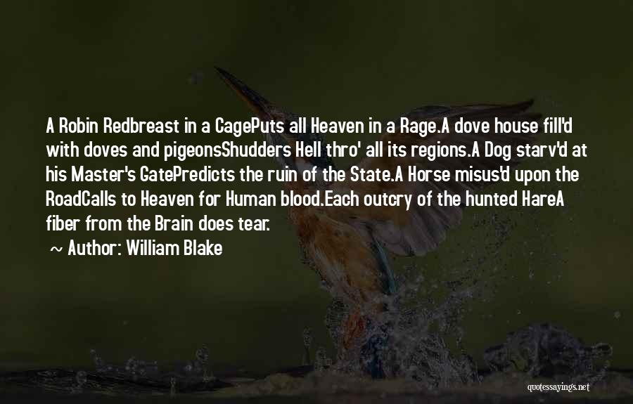 William Blake Quotes: A Robin Redbreast In A Cageputs All Heaven In A Rage.a Dove House Fill'd With Doves And Pigeonsshudders Hell Thro'