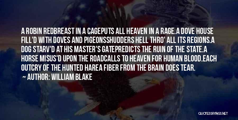 William Blake Quotes: A Robin Redbreast In A Cageputs All Heaven In A Rage.a Dove House Fill'd With Doves And Pigeonsshudders Hell Thro'