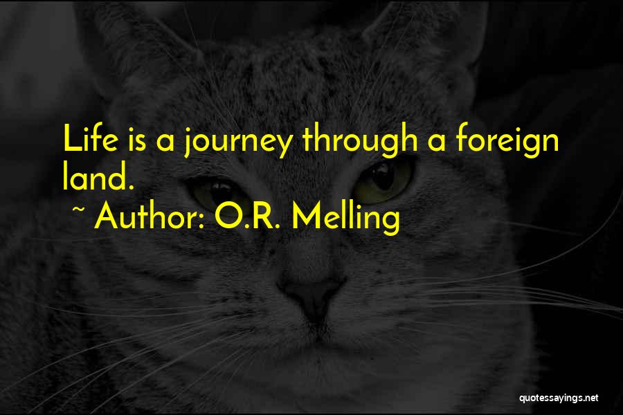 O.R. Melling Quotes: Life Is A Journey Through A Foreign Land.