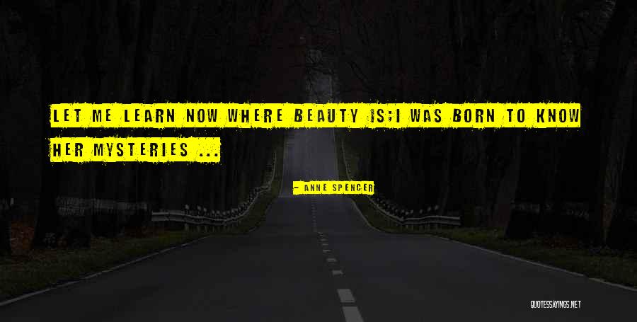 36c Sister Quotes By Anne Spencer