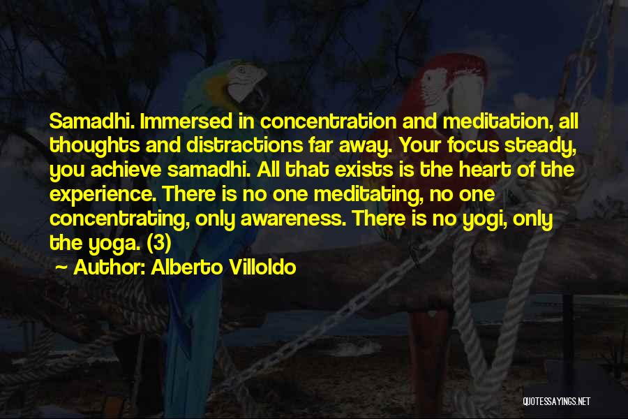 Alberto Villoldo Quotes: Samadhi. Immersed In Concentration And Meditation, All Thoughts And Distractions Far Away. Your Focus Steady, You Achieve Samadhi. All That