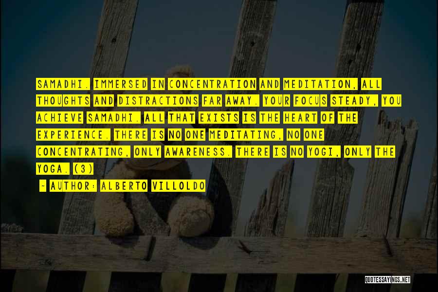 Alberto Villoldo Quotes: Samadhi. Immersed In Concentration And Meditation, All Thoughts And Distractions Far Away. Your Focus Steady, You Achieve Samadhi. All That