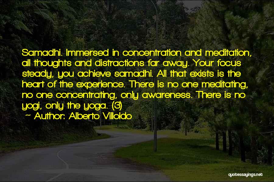 Alberto Villoldo Quotes: Samadhi. Immersed In Concentration And Meditation, All Thoughts And Distractions Far Away. Your Focus Steady, You Achieve Samadhi. All That