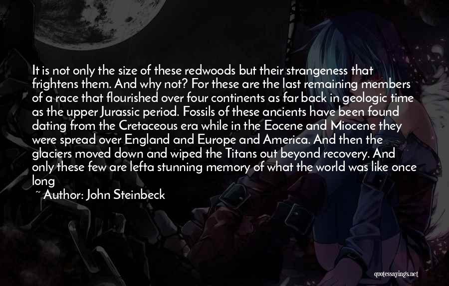 John Steinbeck Quotes: It Is Not Only The Size Of These Redwoods But Their Strangeness That Frightens Them. And Why Not? For These