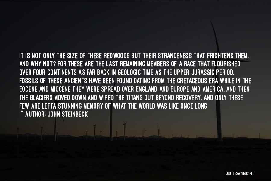 John Steinbeck Quotes: It Is Not Only The Size Of These Redwoods But Their Strangeness That Frightens Them. And Why Not? For These