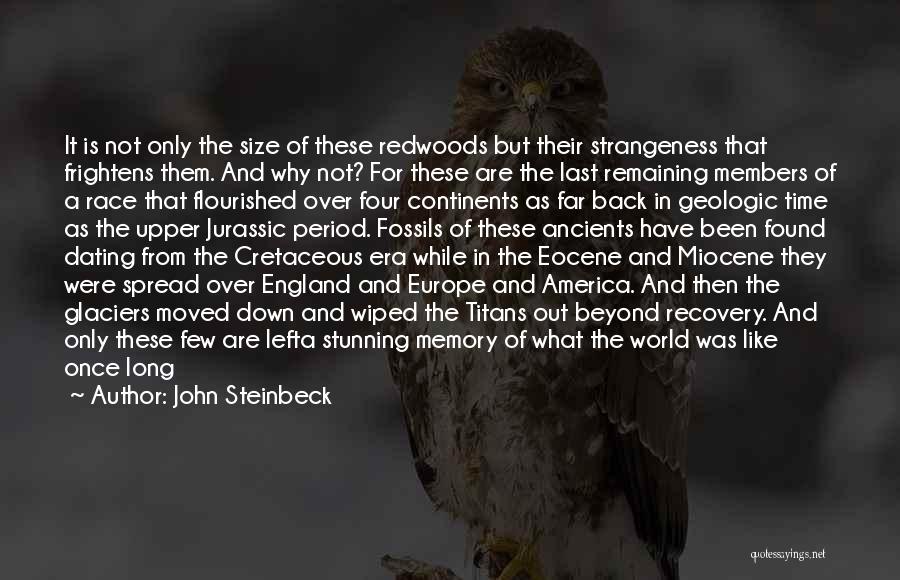 John Steinbeck Quotes: It Is Not Only The Size Of These Redwoods But Their Strangeness That Frightens Them. And Why Not? For These