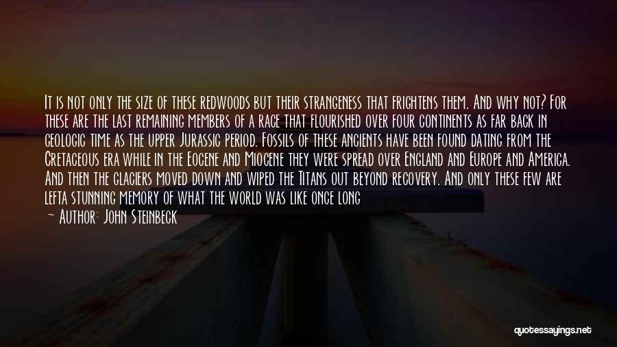 John Steinbeck Quotes: It Is Not Only The Size Of These Redwoods But Their Strangeness That Frightens Them. And Why Not? For These