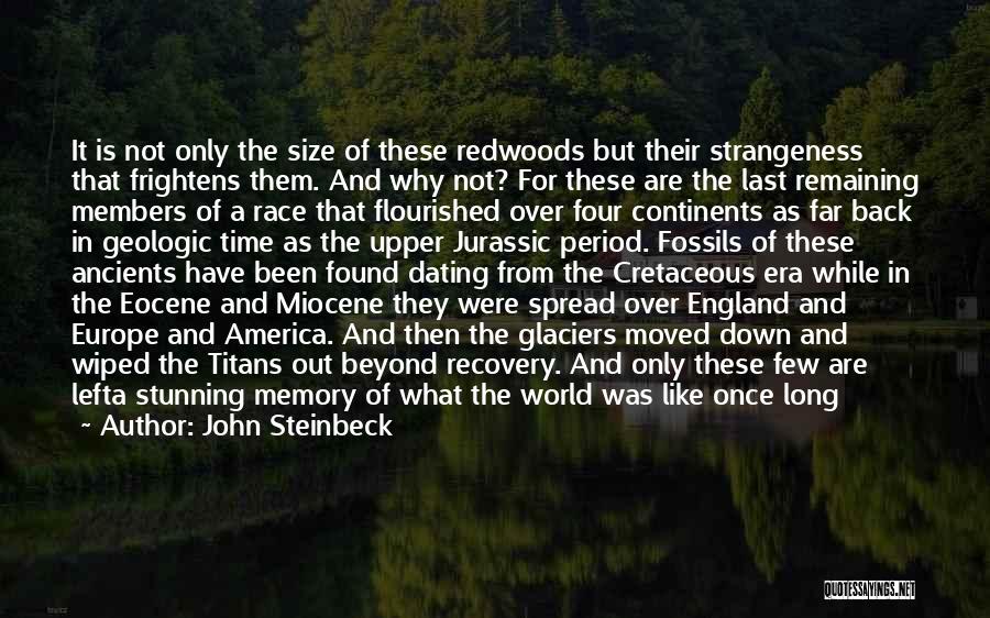 John Steinbeck Quotes: It Is Not Only The Size Of These Redwoods But Their Strangeness That Frightens Them. And Why Not? For These