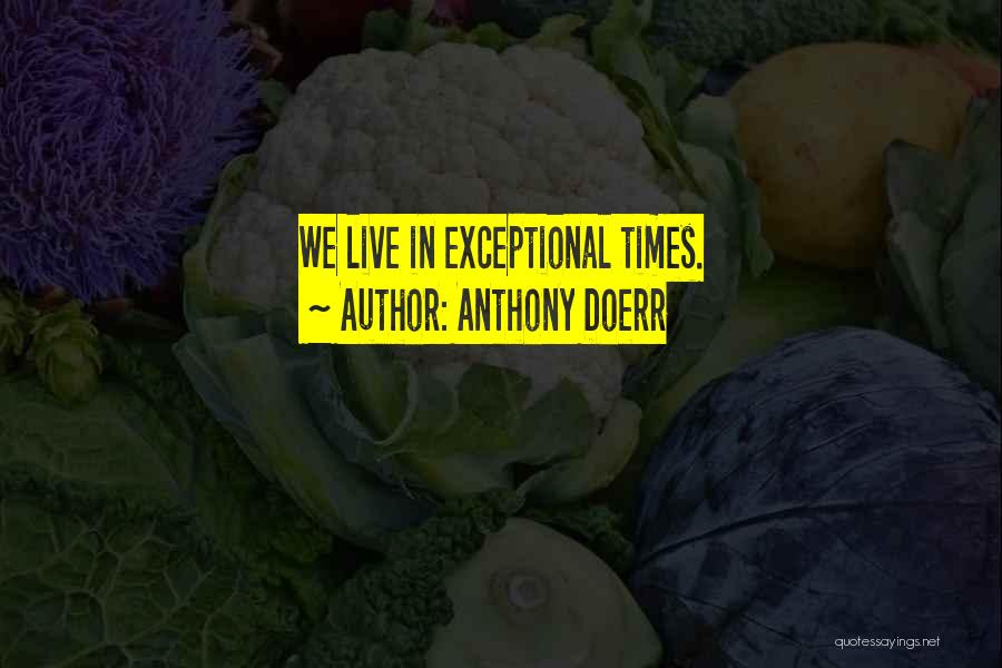 Anthony Doerr Quotes: We Live In Exceptional Times.