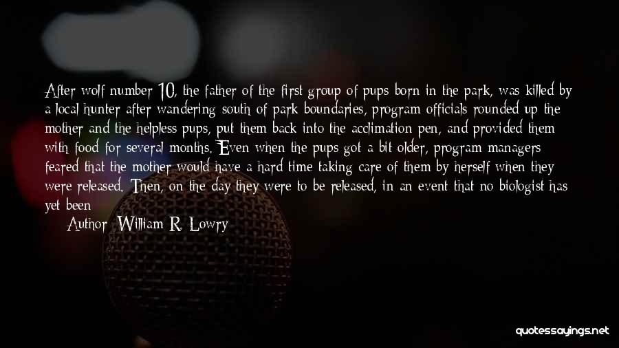 William R. Lowry Quotes: After Wolf Number 10, The Father Of The First Group Of Pups Born In The Park, Was Killed By A