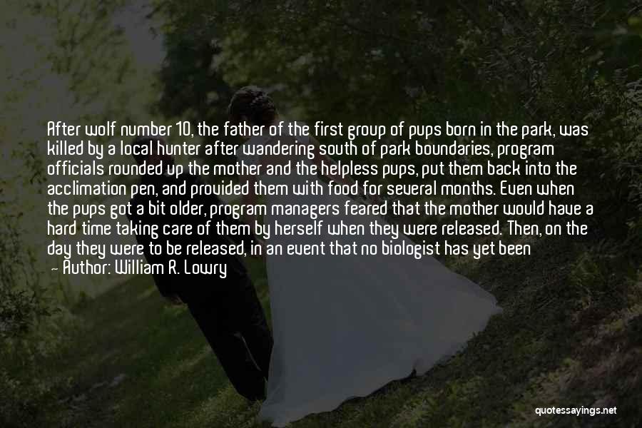 William R. Lowry Quotes: After Wolf Number 10, The Father Of The First Group Of Pups Born In The Park, Was Killed By A