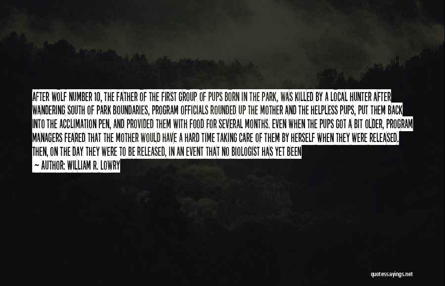 William R. Lowry Quotes: After Wolf Number 10, The Father Of The First Group Of Pups Born In The Park, Was Killed By A