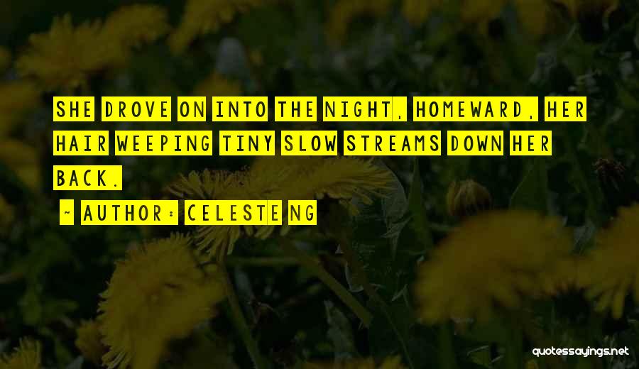 Celeste Ng Quotes: She Drove On Into The Night, Homeward, Her Hair Weeping Tiny Slow Streams Down Her Back.