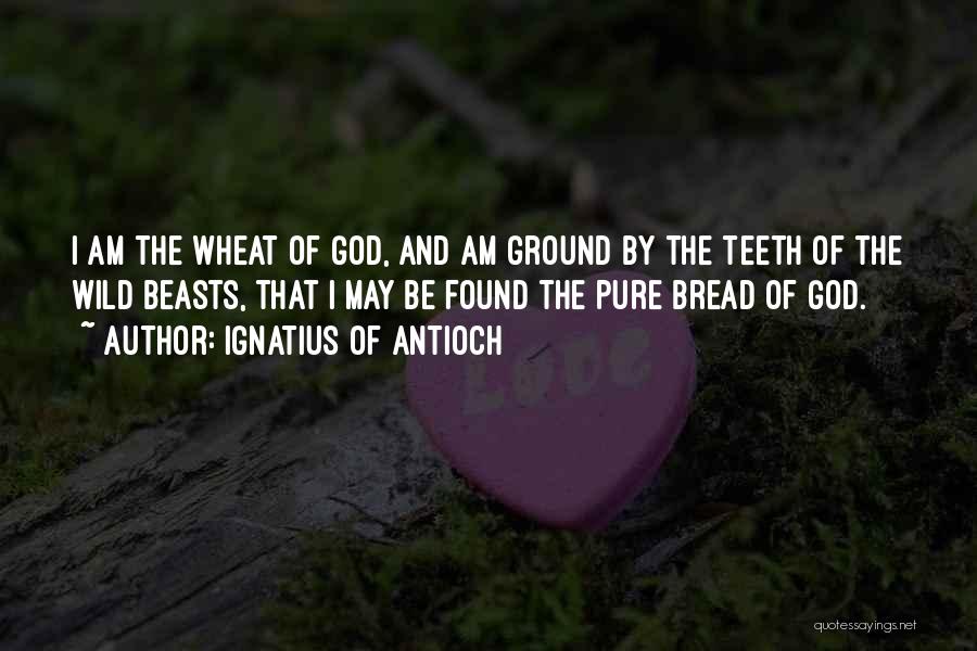 Ignatius Of Antioch Quotes: I Am The Wheat Of God, And Am Ground By The Teeth Of The Wild Beasts, That I May Be