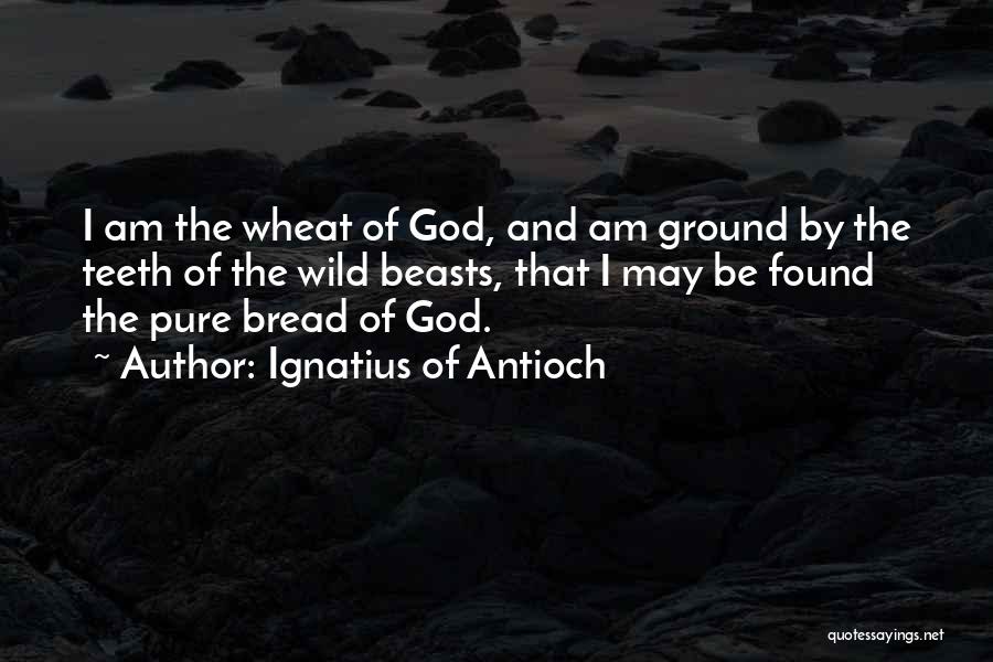 Ignatius Of Antioch Quotes: I Am The Wheat Of God, And Am Ground By The Teeth Of The Wild Beasts, That I May Be