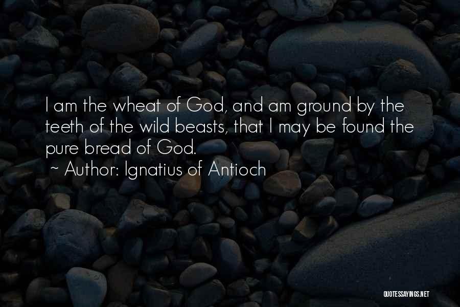 Ignatius Of Antioch Quotes: I Am The Wheat Of God, And Am Ground By The Teeth Of The Wild Beasts, That I May Be