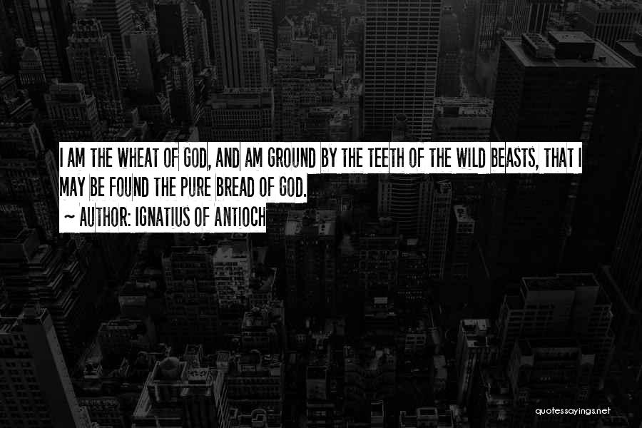 Ignatius Of Antioch Quotes: I Am The Wheat Of God, And Am Ground By The Teeth Of The Wild Beasts, That I May Be