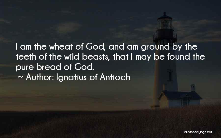 Ignatius Of Antioch Quotes: I Am The Wheat Of God, And Am Ground By The Teeth Of The Wild Beasts, That I May Be