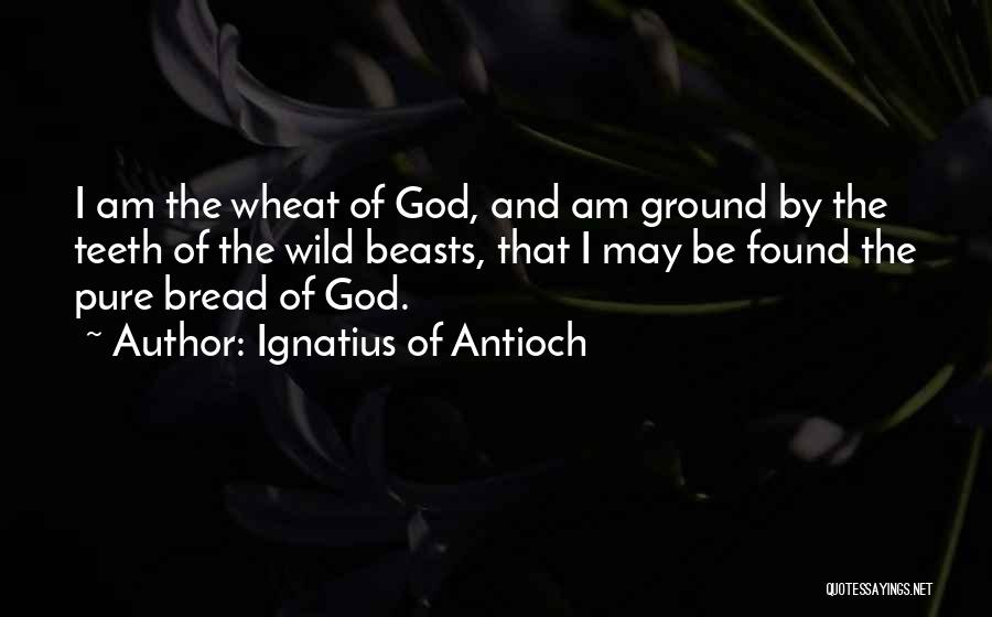 Ignatius Of Antioch Quotes: I Am The Wheat Of God, And Am Ground By The Teeth Of The Wild Beasts, That I May Be