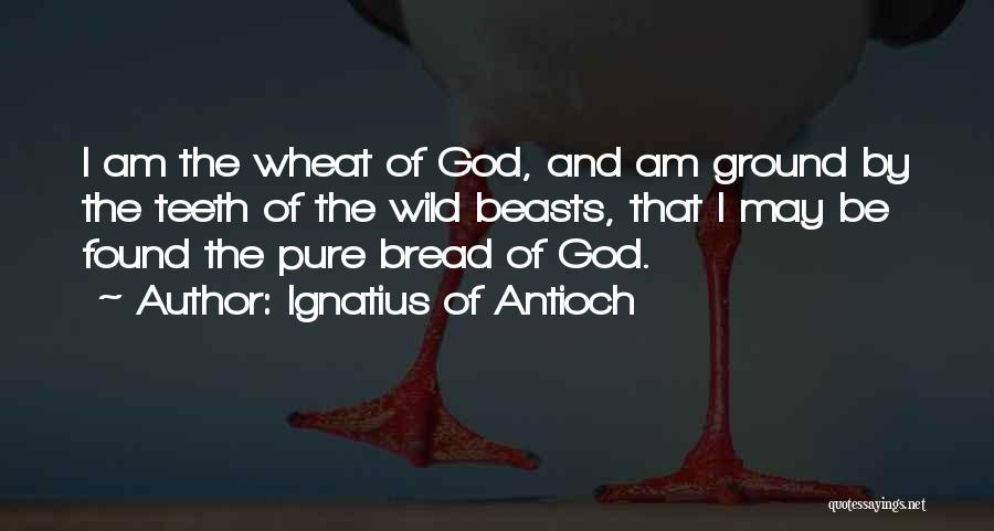 Ignatius Of Antioch Quotes: I Am The Wheat Of God, And Am Ground By The Teeth Of The Wild Beasts, That I May Be