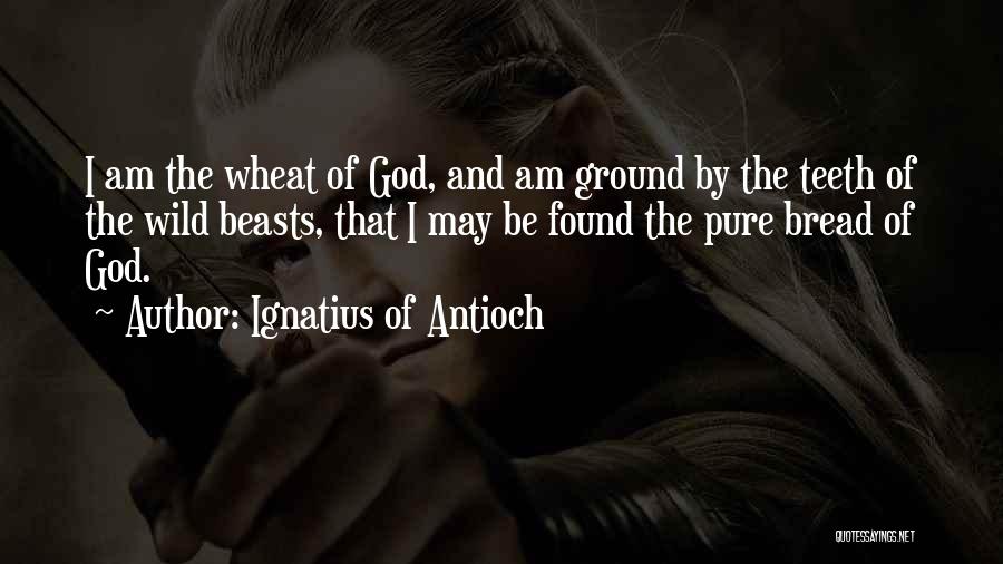 Ignatius Of Antioch Quotes: I Am The Wheat Of God, And Am Ground By The Teeth Of The Wild Beasts, That I May Be