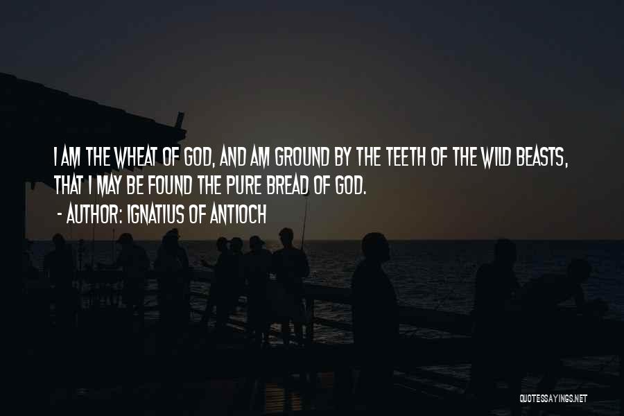 Ignatius Of Antioch Quotes: I Am The Wheat Of God, And Am Ground By The Teeth Of The Wild Beasts, That I May Be