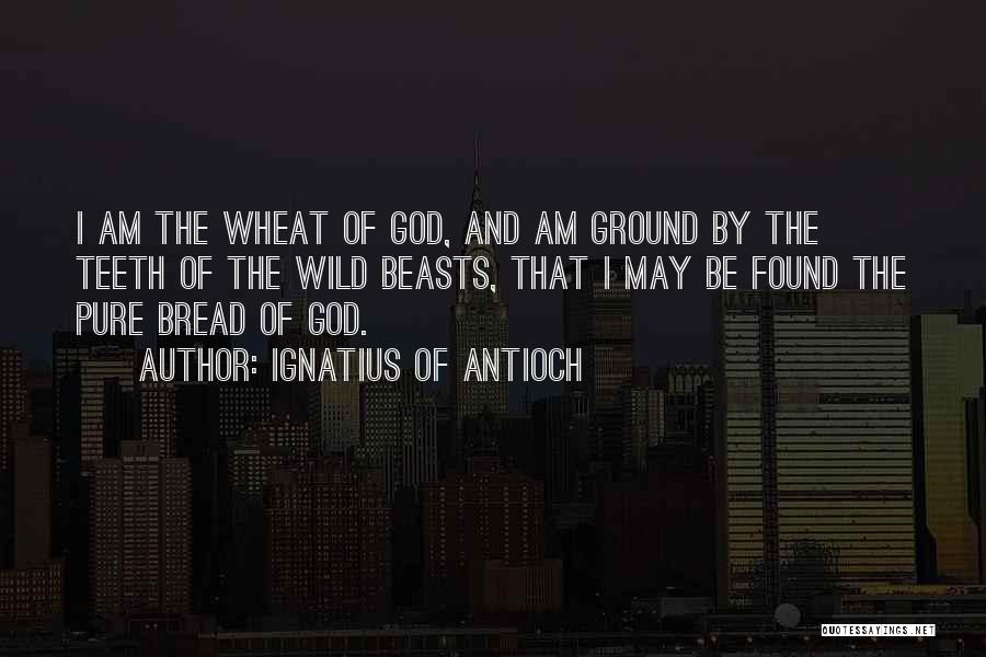 Ignatius Of Antioch Quotes: I Am The Wheat Of God, And Am Ground By The Teeth Of The Wild Beasts, That I May Be