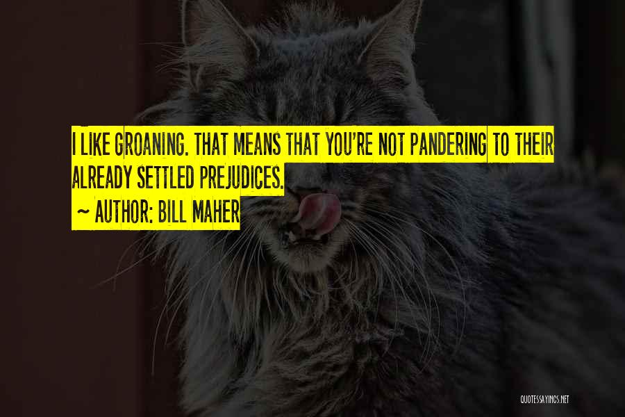 Bill Maher Quotes: I Like Groaning. That Means That You're Not Pandering To Their Already Settled Prejudices.