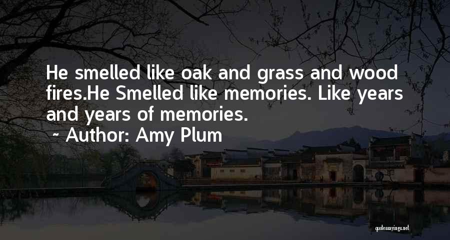 Amy Plum Quotes: He Smelled Like Oak And Grass And Wood Fires.he Smelled Like Memories. Like Years And Years Of Memories.