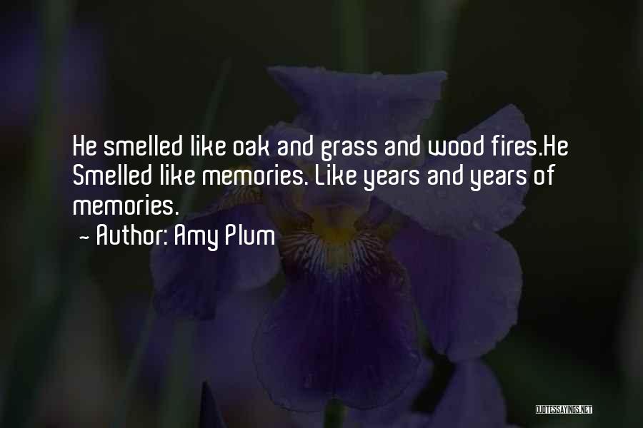Amy Plum Quotes: He Smelled Like Oak And Grass And Wood Fires.he Smelled Like Memories. Like Years And Years Of Memories.
