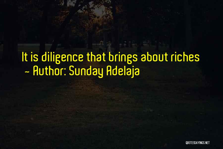 Sunday Adelaja Quotes: It Is Diligence That Brings About Riches