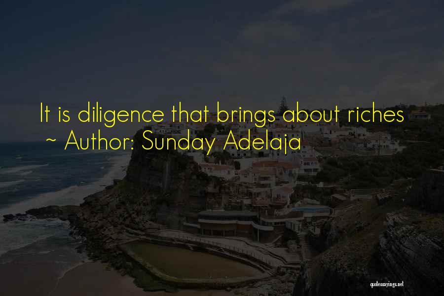 Sunday Adelaja Quotes: It Is Diligence That Brings About Riches